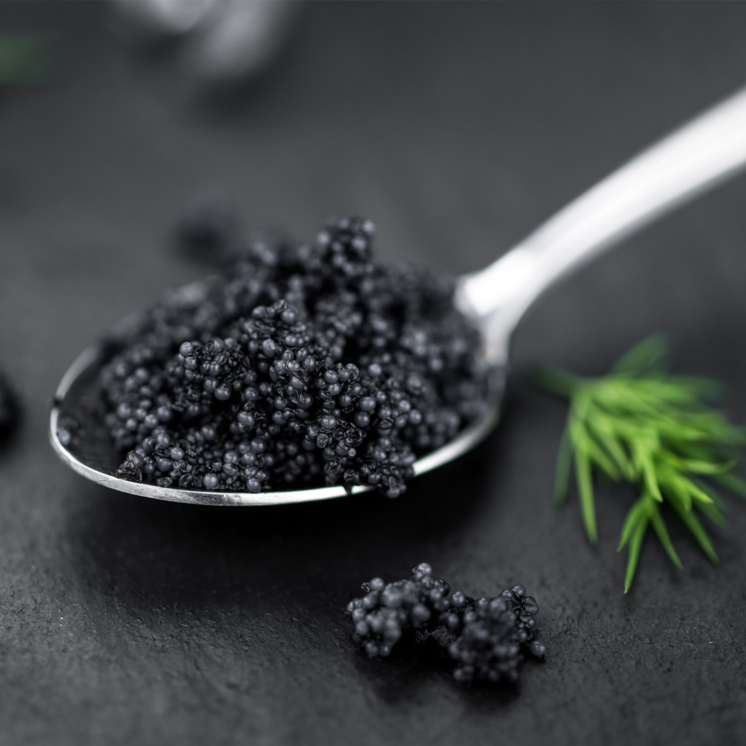 Wertvolle Kaviar-Extrakte